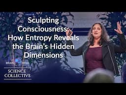 Divya Chander, MD, PhD - Sculpting Consciousness: How Entropy Reveals the Brain's Hidden Dimensions