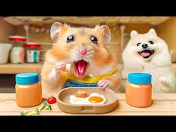 Hamster Escape Adventure in the Crazy Pet Maze | Hamster Maze