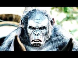 What Happened To The Soldiers That Encountered An Unknown Breed of Jungle Chimpanzee?