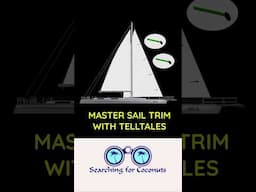 🚩 Master Sail Trim with Telltales! Beginner Sailing Tips 🌬️⛵