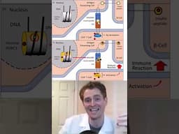 Somatic Mutation Theory of Autoimmune Disease