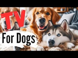 Help Your Dog Feel Safe & Loved - Comforting & Soothing Video for Anxious Pups