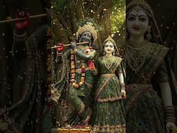 🚩मेरी प्यारी श्रीराधे🙏जय श्री राधेकृष्णा 🚩