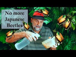 Use Nature to Rid Your Garden of Japanese Beetles - Use Beetle Juice.