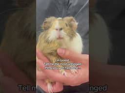 I’m not talking “he peed on me”. We want DIABOLICAL!