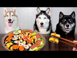 Huskies Try SUSHI For the First Time! Unexpected reaction of dogs