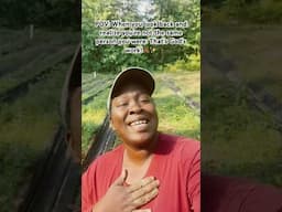 ✨God can change anything, keep trusting Him🙏🏾 #gospelmusic #gardening #motivation #godisgood