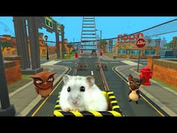 Minecraft Hamster Challenge – Roller Coasters & Mazes!