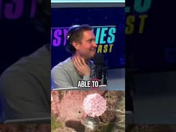 It's the year of 33! #easyallies #eza #gaming #podcast #expedition33
