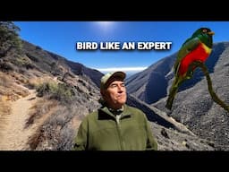 How To Raise Your Birding Skills To The Next Level.
