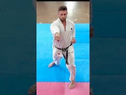 Karate stance drill #karate #shotokan #training