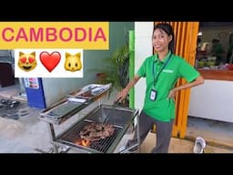 CAMBODIA CAT HEAVEN 🐱😻😺 🇰🇭