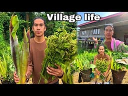 Shocking news guys || Local Forest 🌳 vegetables village life 😇 ||  Ghumane Gaya, dost  ke Saath