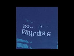 Redeyes - Birddds