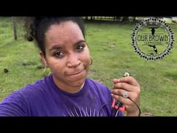 How I BROKE My Nose || Life On A Homestead