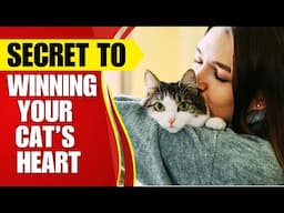 How to Get A Cat to Trust You: 7 Proven Tips That Work Fast!