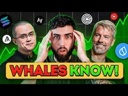 An EVEN BIGGER Crypto Pump Is Coming!! ($145,000 Next?)