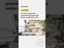 Carreta com grande quantidade de maconha tomba na BR 262 #shorts #policia #pollice