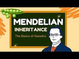 Mendelian Inheritance I LAWS OF INHERITANCE I FULL VIDEO