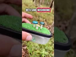 Cache inside a Cache #Geocaching