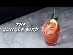 Summer + Jungle Bird