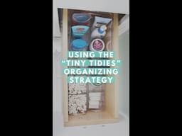 Using the "Tiny Tidies" Organizing Strategy