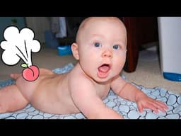 Funniest Baby Farts Moments OF THE MONTH - Funny baby Videos