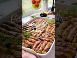 Cabbage Rolls- Dolma #dolma #armenian #middleeasterncuisine #shorts #recipe