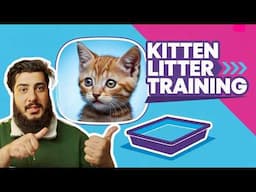How to Litter Train Baby Kittens with 5 tips