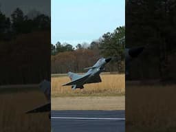 J-10 Vigorous Dragon High Alpha Pass #aviation #rc #rcplane