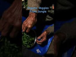 Organic Veggies from jungle WAW tasty tasty veggies wan wat I Mei na khlaw