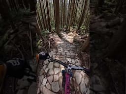 Jank Flow - @insta360 Ace Pro 2 #mtb #insta360mtb #insta360 #insta360acepro2 #mountainbike