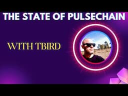 The State Of PulseChain: With TBird
