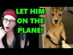 Kangaroo DENIED Flight | AI Is OUT Of CONTROL