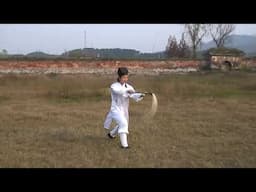 太乙拂尘---The Fu Chen style  |  Master Chen