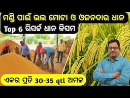 Short and Bold paddy for Mandi ମଣ୍ଡି ପାଇଁ ଛୋଟ ଓ ମୋଟା ଧାନ 30-40 qtl ଅମଳ