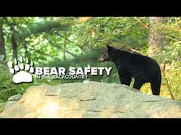 Bear Safety in New York's Backcountry