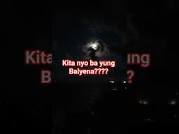 BALYENA SA DAGAT