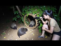 Full Video 30 Day Survival - Crafts a Deadly Trap and Outsmarts the Wild in Her Jungle Battle