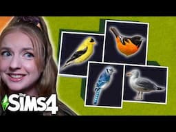 the sims 4 but every room is a different... bird?