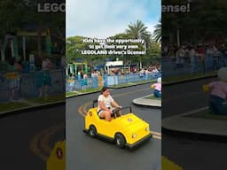Drivers, start your engines! 🚗💨