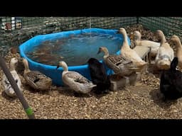 Round Up Time