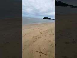 Big Croc in the area! Seen people and dogs swimming here just recently so please heed the warning!