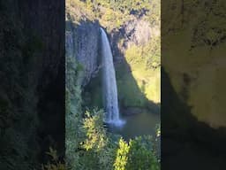 Bridal veil falls New Zealand 🇳🇿