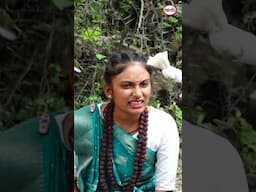 ટીહલો હવે ટીહલા નદ બન્યો  | Tihlo Have Tihla nad  banyo |  #comedyshorts