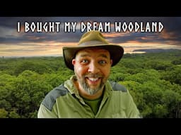 I Bought an Ancient Woodland