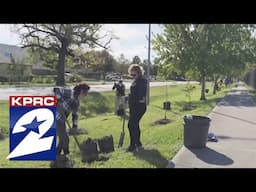 Trees for Houston: Enhancing Community Green Spaces Since 1983