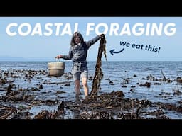 FORAGING EDIBLE SEAWEED! Cooking & Drying WINGED KELP 🐟 From Tide to Table