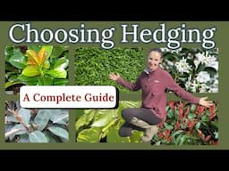 Garden Design: A Guide to Choosing Garden Hedging
