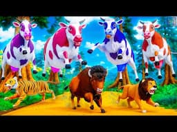 Color Cows vs Bison, Lion & Tiger! Epic Wildlife Rescue Adventure Begins in Animal Kingdom!